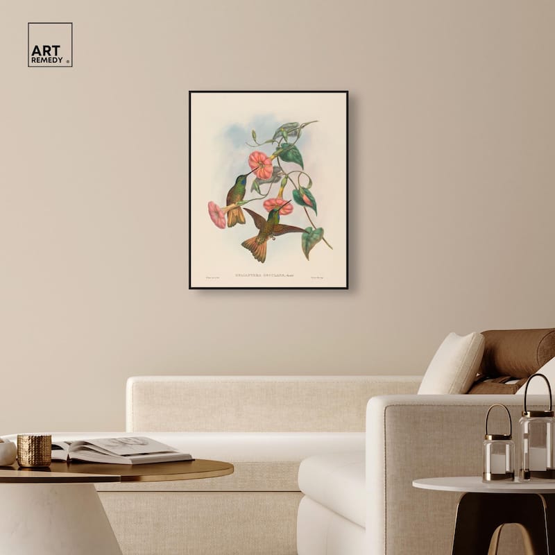 Gould's Hummingbirds Canvas by Art Remedy