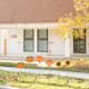 Option Set of 6-Pumpkin, Leave & Sunflower