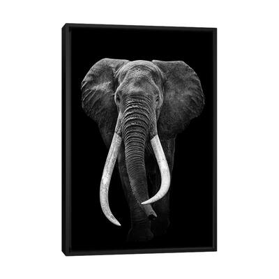 iCanvas "Elephant Black And White" by Adrian Vieriu Framed