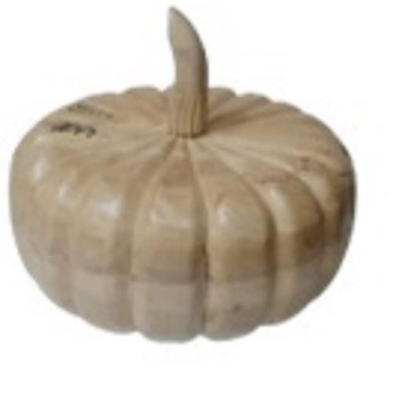 Extra Large Sun Bleached Pumpkin Fall Harvest Tabletop Decoration - 15" - Beige