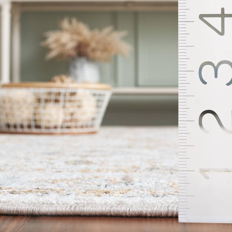 SAFAVIEH Hamilton Friedliese Oriental Rug