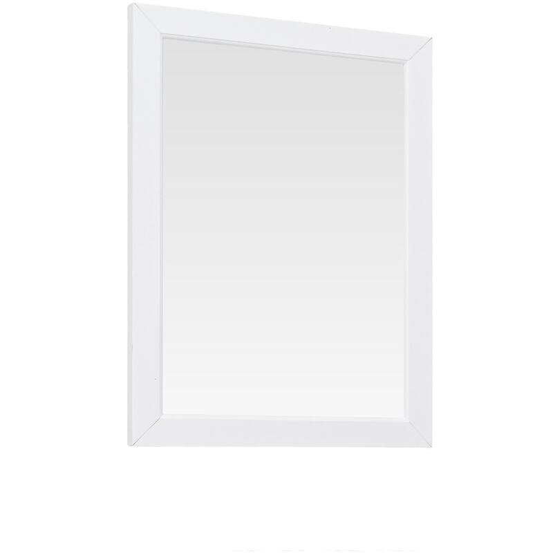 Avanity EVERETTE-M24 Everette 24" W x 32" H Transitional Rectangular