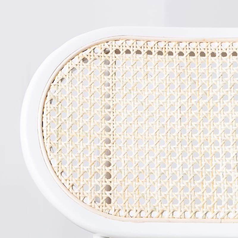 24 in. Rattan Counter Height Bar Stools with Faux Leather Seat (set of 2)