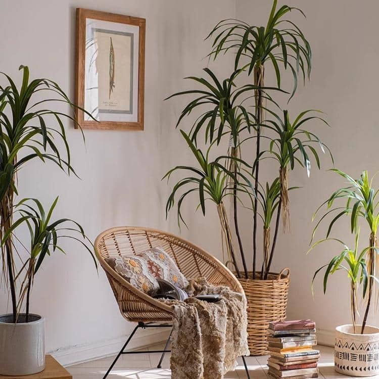 RusticReach Artificial Dracaena Tree