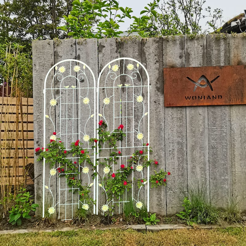 2/4 Pack Metal Garden Trellis for Climbing Plants Outdoor 71" x 19.7" Country Style Plant Support Rustproof Metal Rose Trellis - White - 4 Pack