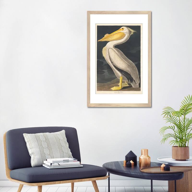 iCanvas "American White Pelican" by John James Audubon