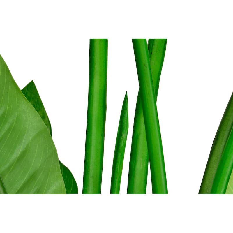 Artificial Banana Leaf Tree Bird Of Paradise in White Decor Pot