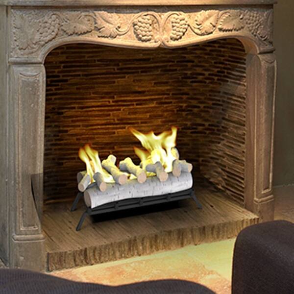 Shop Regal Flame 24 Inch Convert To Ethanol Fireplace Log Set With