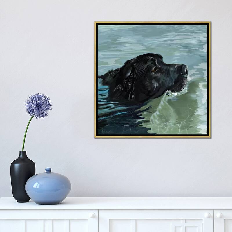 iCanvas "Black Lab Swimming" by Vicki Newton Framed Canvas Print