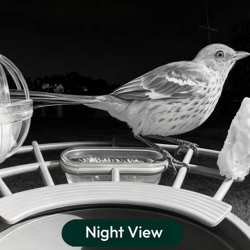 Smart Solar Bird Feeder with Camera and AI Identify Bird Species - 7.03 in. W x 7.03 in. D x 8.13 in. H