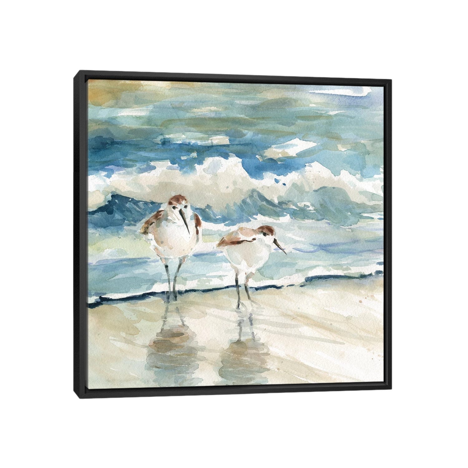 iCanvas "Beach Birds" by Carol Robinson Framed Canvas Print