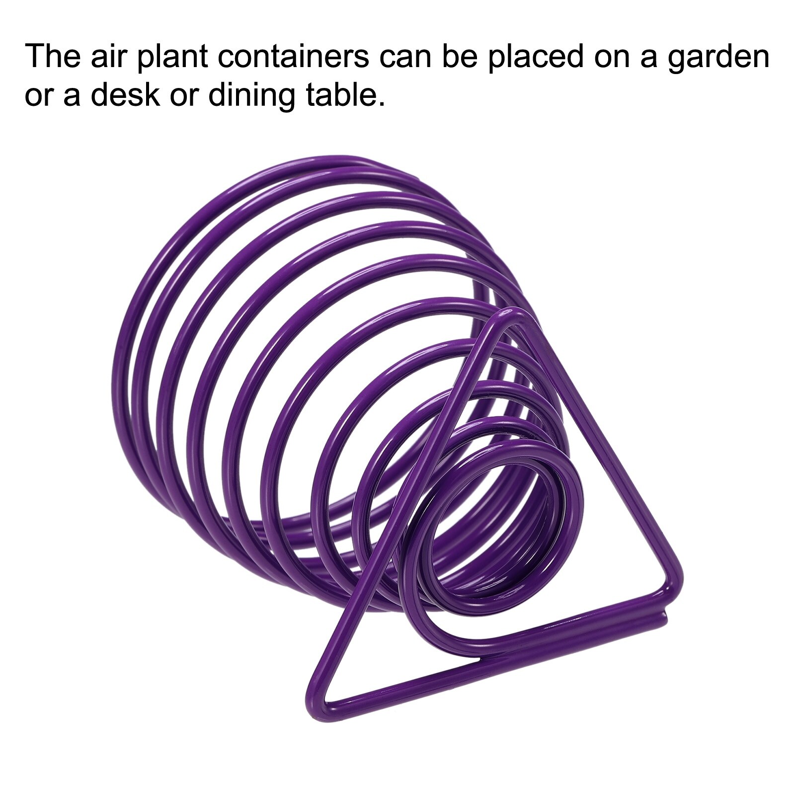 Air Plants Holder, Air Plant Flower Stand Container - 6 Pcs (Purple) -  Purple - Bed Bath & Beyond - 36000264