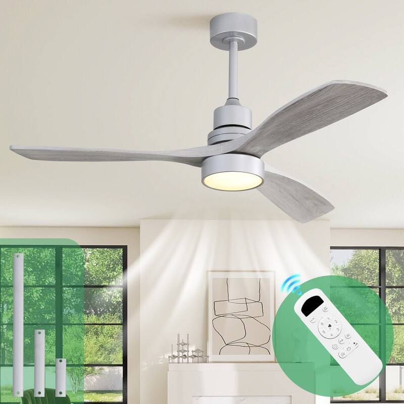 48/52 in. Modern Ceiling Fans with LED Light,Quiet/Reversible DC Motor, Flush Mount or Downrod, in White/Silver/Black - Silver