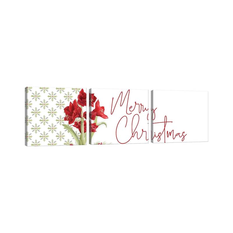 iCanvas "Merry Amaryllis panel I" by Tara Reed 3-Piece Canvas Wall Art Set