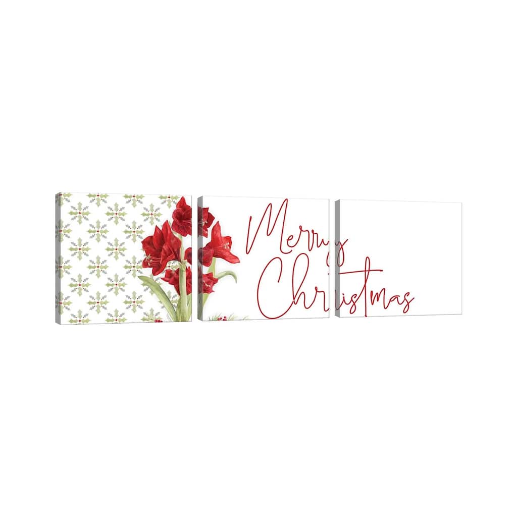 iCanvas "Merry Amaryllis panel I" by Tara Reed 3-Piece Canvas Wall Art Set