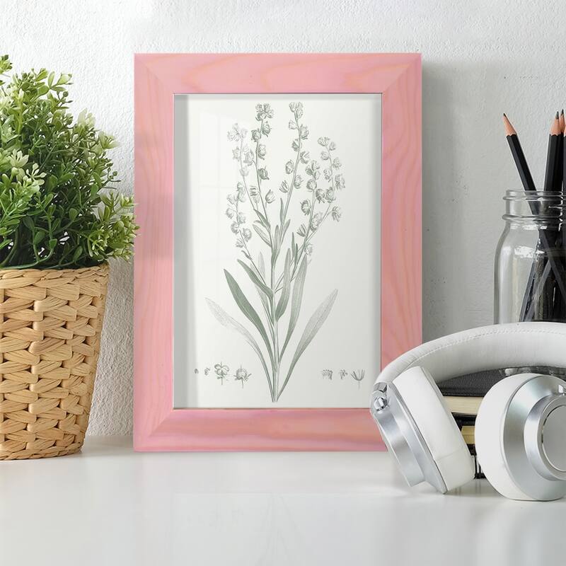 Botanical Study in Sage I -Framed Print w/glass-Cherry Red