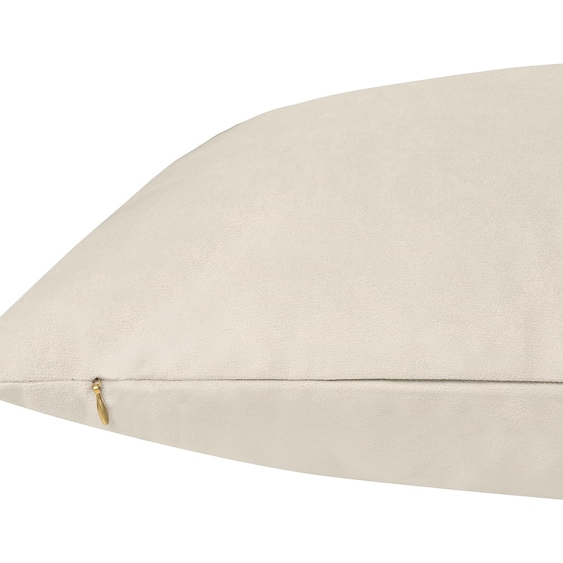 Delara Pack of 1 Velvet Decorative Throw Pillow Cover 20x20 Inches, Cushion Cover, Soft and Breathable Fabric, Hidden Zipper