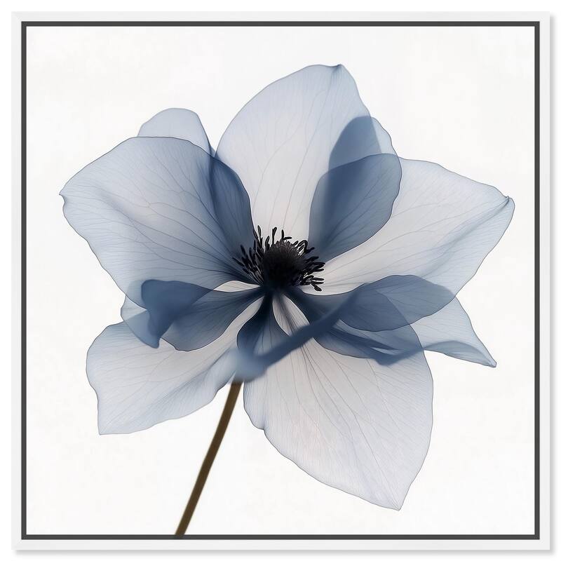 Morning Petalia II Canvas by Art Remedy - White - 16" x 16"