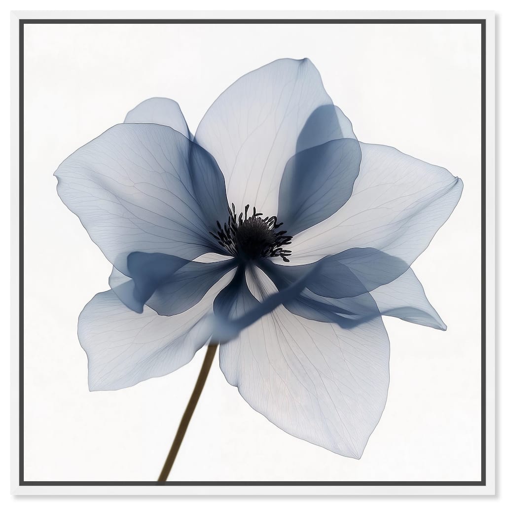 Morning Petalia II Canvas by Art Remedy