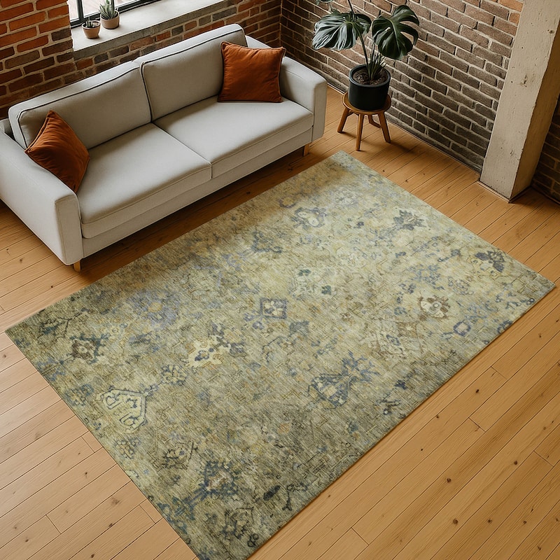 Machine Washable Indoor/ Outdoor Traditional Serenity Chantille Rug
