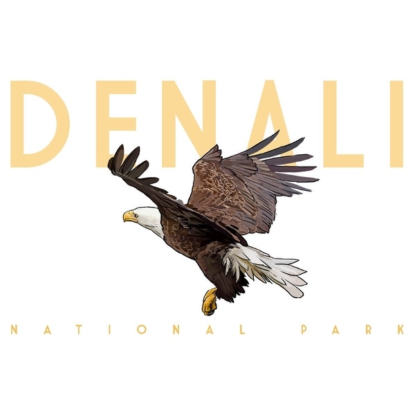 Denali National Park Alaska Bald Eagle Lantern Press Artwork Art Print Multiple Sizes Available 9 X 12 Art Print
