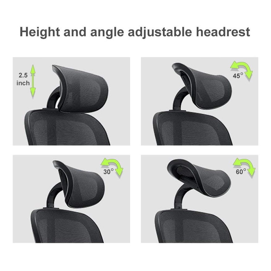 Blarity Office Chair, High Back Ergonomic Desk Chair with Adjustable Lumbar  Support and Headrest