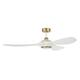 Option White/Satin Brass