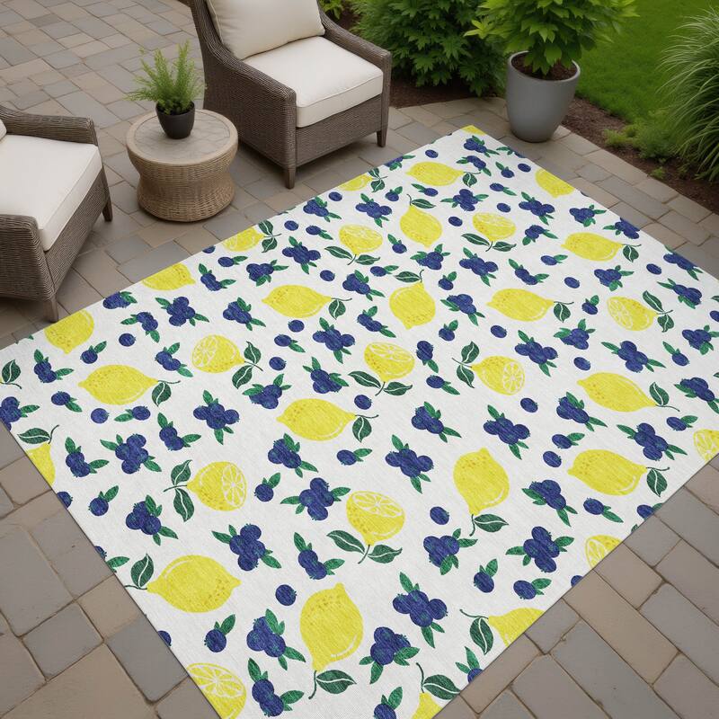 Machine Washable Indoor/ Outdoor Citrus Berry Chantille Rug - Ivory - 3' x 5'