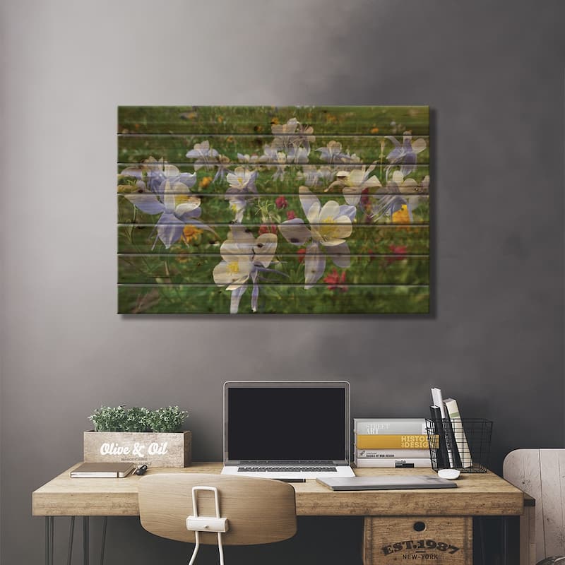 Colorado Blue Columbine Flowers, American Basin, Colorado II Print On Wood by Tim Fitzharris - Multi-Color
