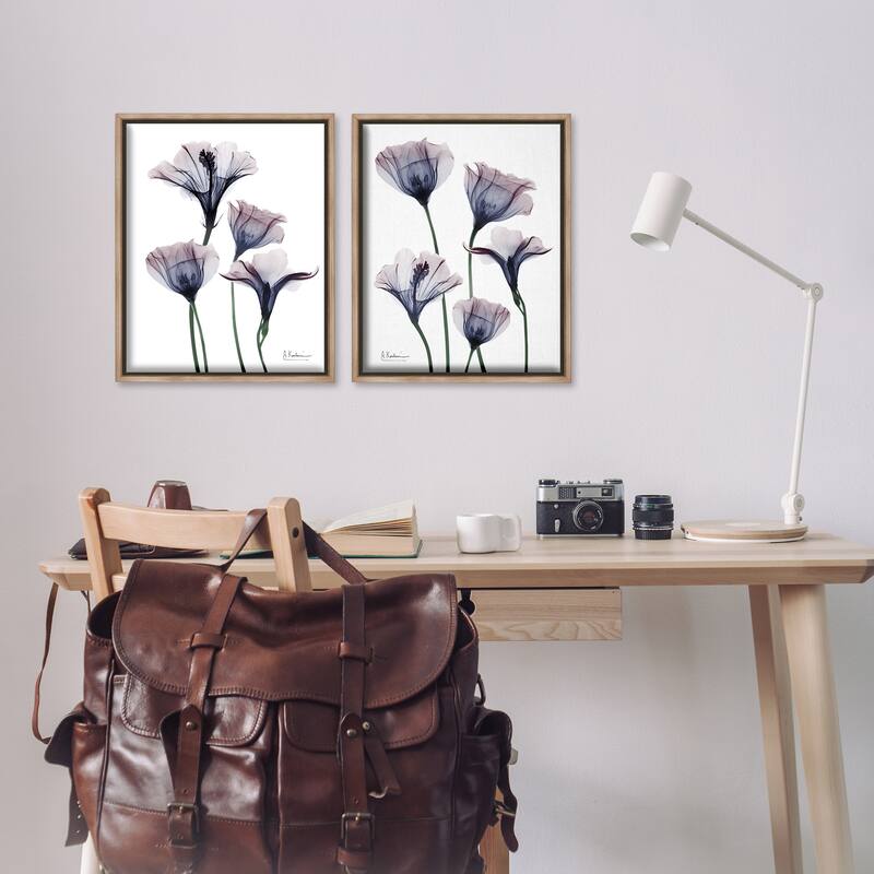 Stupell Bountiful Dusk Lilies Framed Floater Canvas Wall Art Design By Albert Koetsier (Set of 2)