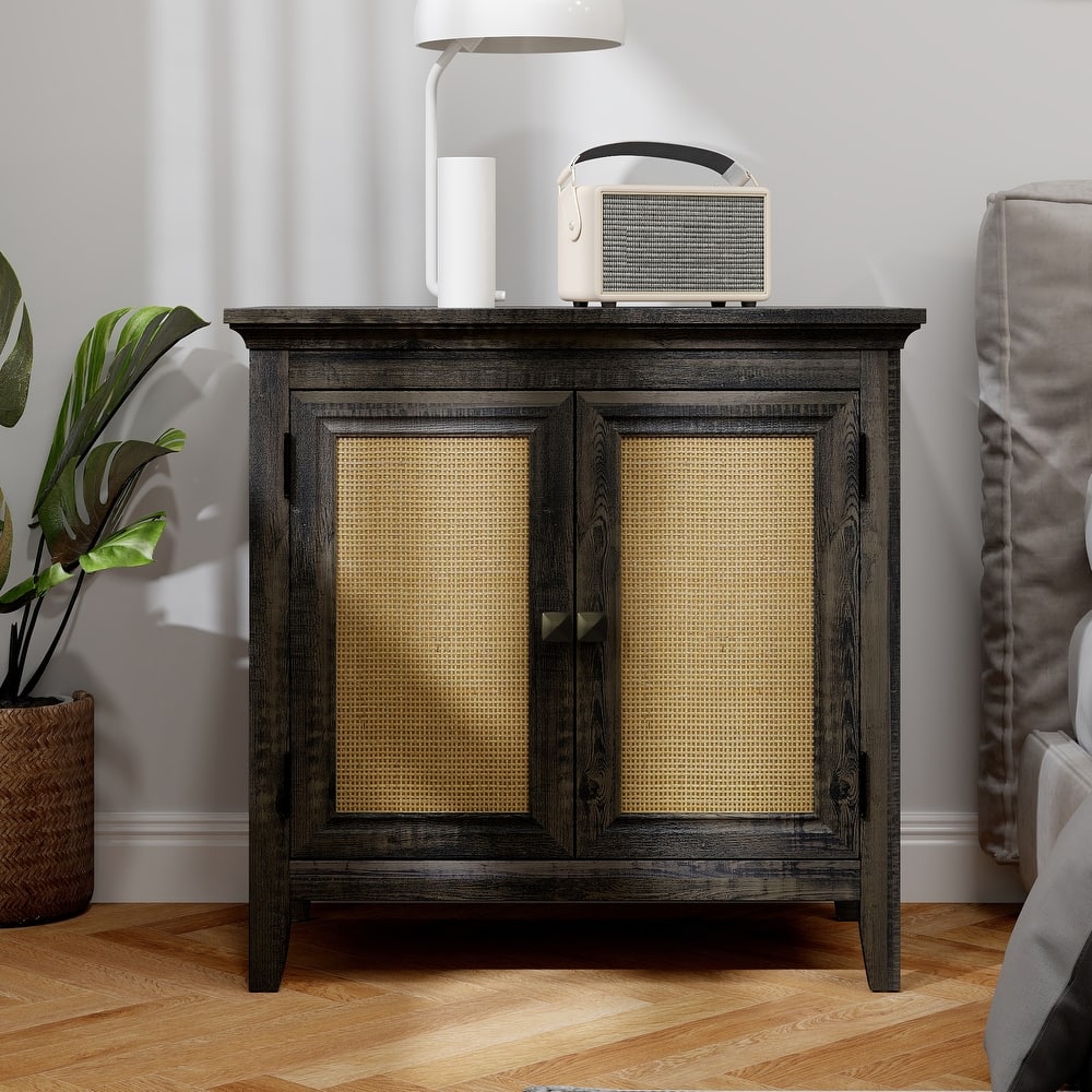 2 Door Rattan Storage Cabinet