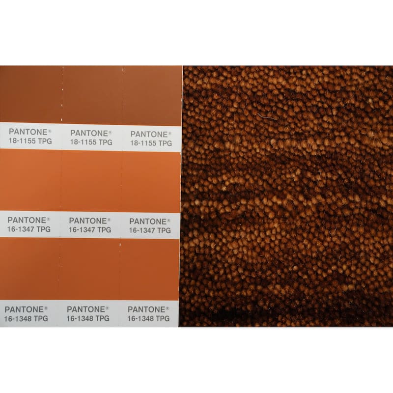Hand Knotted Oriental 100% Wool Carpet Tribal Animal Pictorial Brown Gabbeh Area Rug - 8' 0'' X 8' 1''