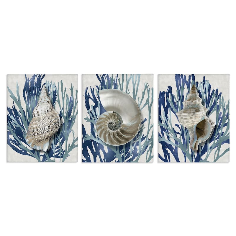 Stupell Trio of Shell Coral Blue Beach Design, 3pc Multi Piece Canvas Wall Art Set - 11 x 14