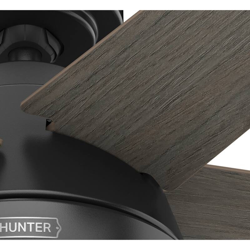 Hunter 44" Burroughs Ceiling Fan with LED Light, Pull Chain