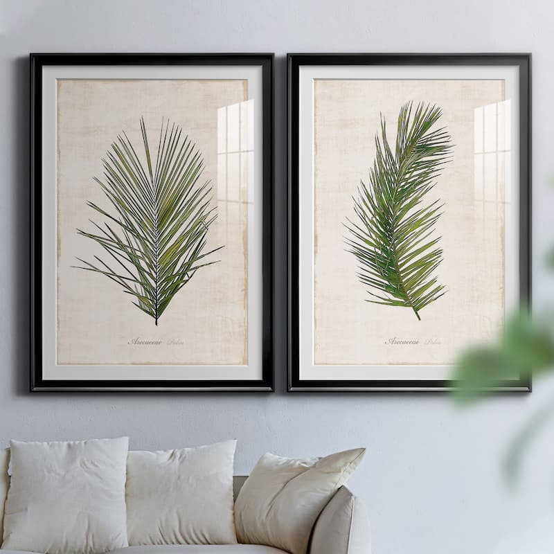 Palm Botanical I Premium Framed Print - Ready to Hang