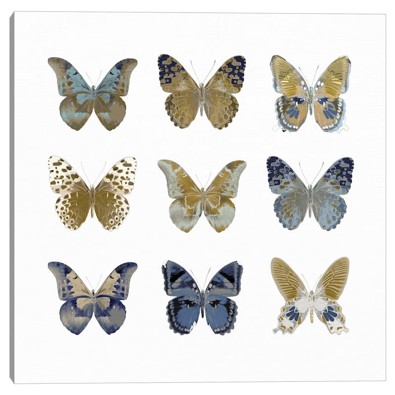 Butterfly Study I by Julia Bosco Canvas Art Print
