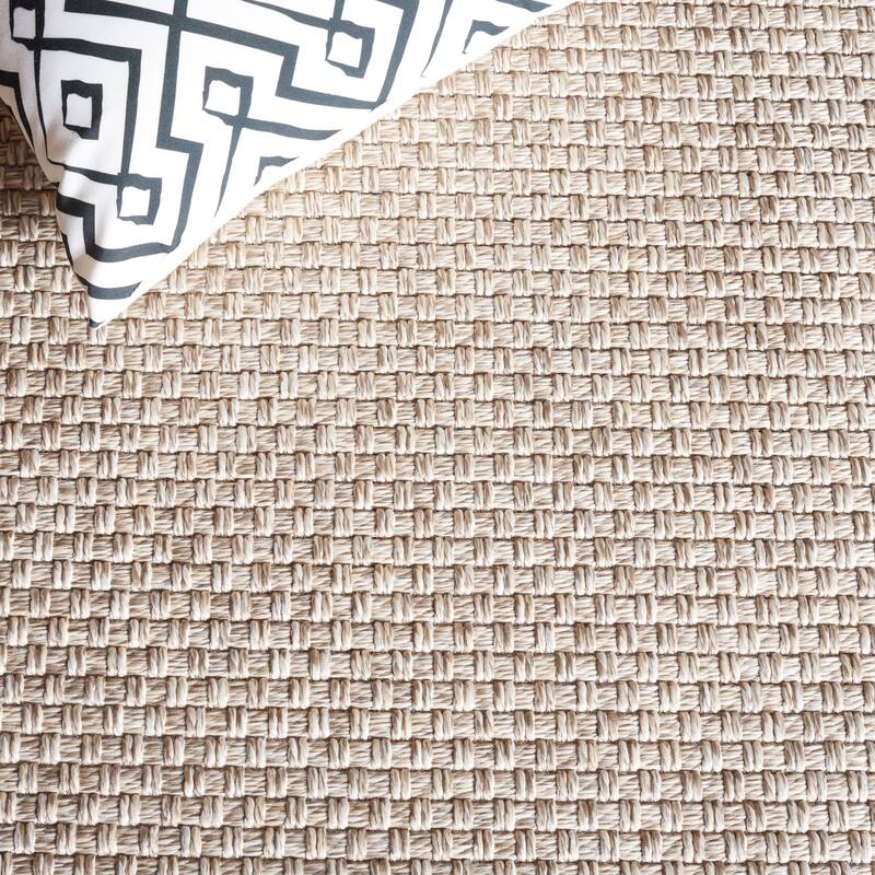 SAFAVIEH Sisal All-Weather Zhanat Transitional Indoor/Outdoor Rug