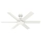 preview thumbnail 3 of 28, Hunter 52" Kennicott Outdoor Ceiling Fan, Wall Control - Contemporary, Industrial, Transitional - Windmill - Damp Rated!