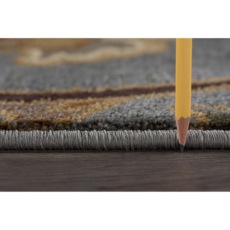 Infinity Transitional Floral Indoor Area Rug
