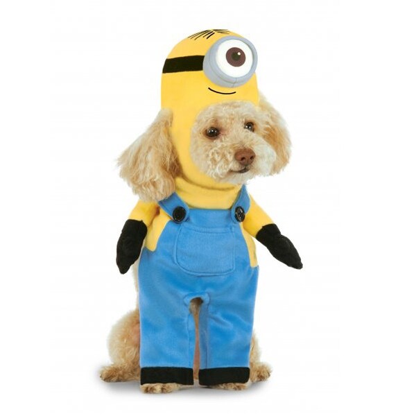 dog costumes