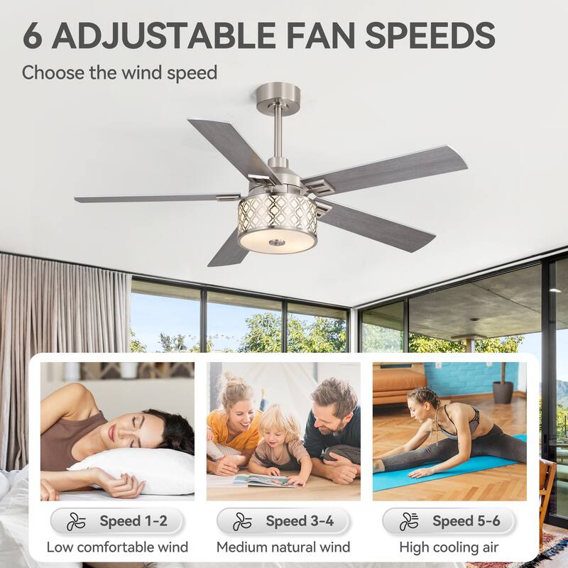 52" Reversible 5-Blade Caged Ceiling Fan with Light and Remote