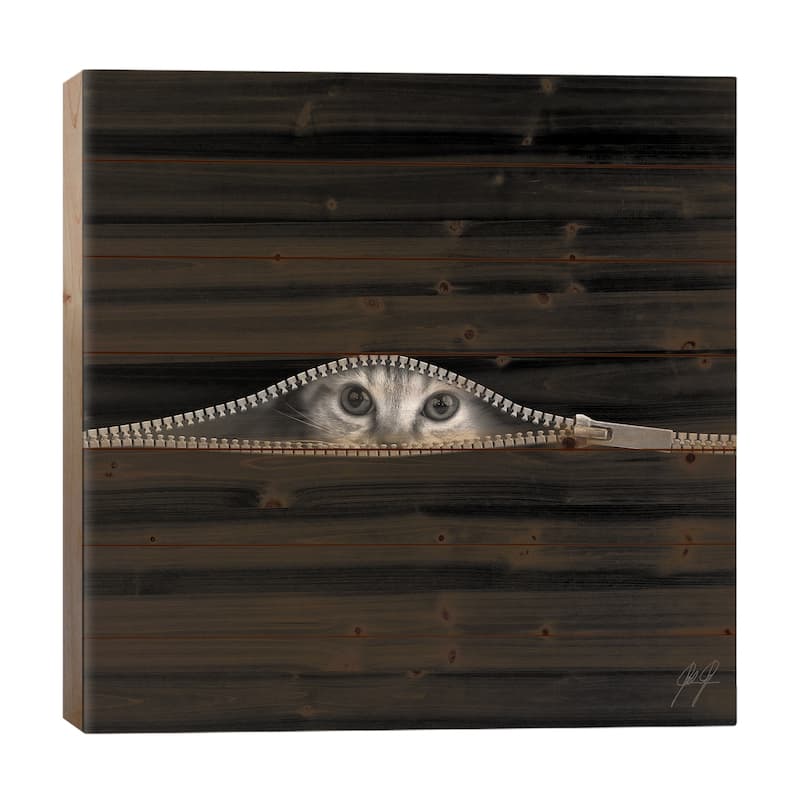 The Timid Print On Wood by Kathrin Federer - Multi-Color - 26x26x1.5