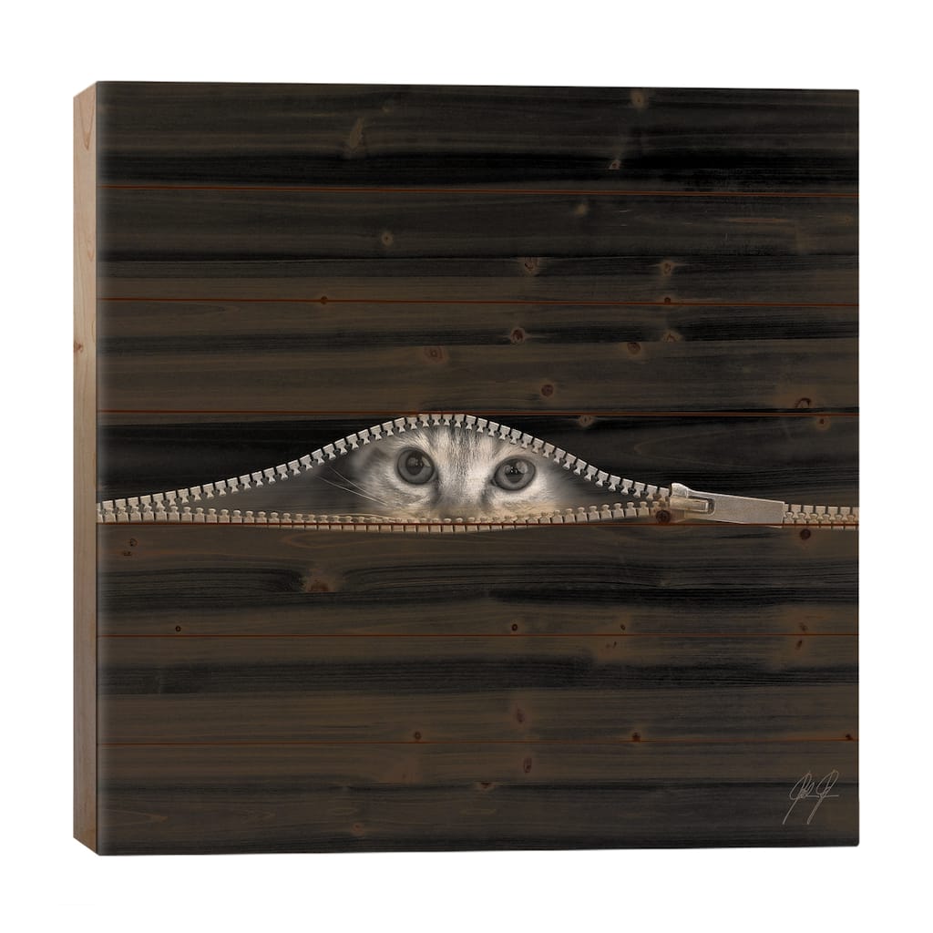 The Timid Print On Wood by Kathrin Federer - Multi-Color