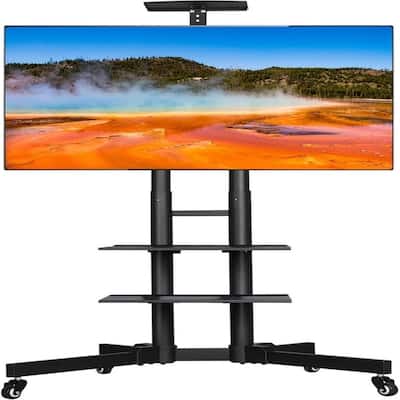 Mobile TV Stand