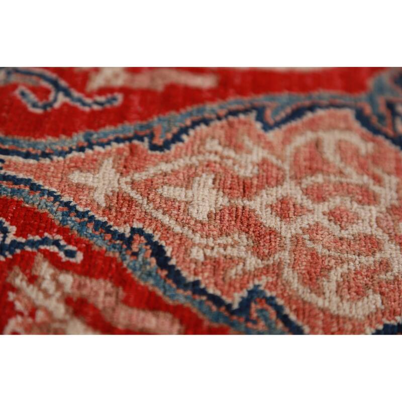 Vegetable Dye Ziegler Rug Handmade Traditional Wool Carpet - 9'0"x 12'2"