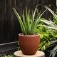 preview thumbnail 36 of 48, Round MgO Indoor / Outdoor Planter small - Rusty Brown
