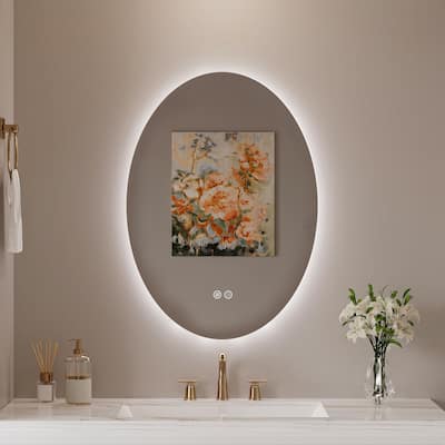 Apmir LED Backlit Oval Bathroom Vanity Mirror, Wall Mounted Dimmable Anti-fog 3 Colors Touch