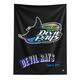Option Tampa Bay Rays