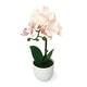 preview thumbnail 20 of 20, Artificial Phalaenopsis Orchid Flower Arrangement in White Pot 13in