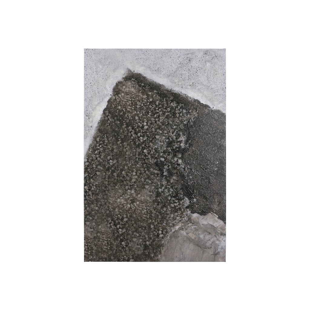 Mudslide III (28 x 42 ) Canvas Art Print